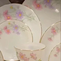 سرویس چینی پیرکس آرکوپال آمریکایی اصل|ظروف سرو و پذیرایی|کرمان, |دیوار