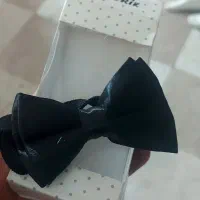 پاپیون عمده موجود است