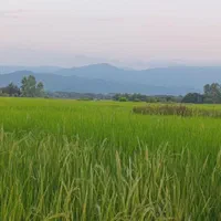 فروش زمین ۳۵۰ متری سنددارکامل مسکونی|فروش زمین و ملک کلنگی|احمدسرگوراب, |دیوار