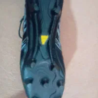 استوک|کیف، کفش، کمربند|سیرجان, |دیوار