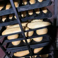 همکار جهت کار در نانوایی شیفت شب|استخدام خدمات فروشگاه و رستوران|زابل, |دیوار