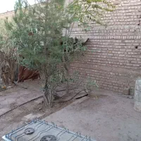 خانه-اجاره-ای
