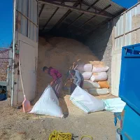 بزرگترین مرکز علوفه فروشی و کاه درجه یک|عمدهفروشی|محمدشهر, محمدشهر|دیوار