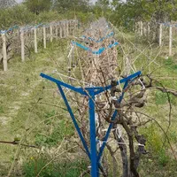 فنس کشی سیم خاردار نرده، شاخ گوزنی فنس الکتریکی|خدمات باغبانی و درختکاری|ارومیه, |دیوار