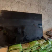 تی وی