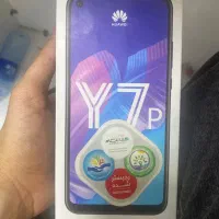 Y7 prime