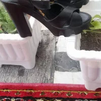 سایز۳۹|کیف، کفش، کمربند|اردبیل, |دیوار