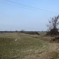 زمین زراعی واقع در نوکنده