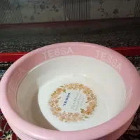 سطل جای حبوبات و استند جایه پفک|ظروف نگهدارنده، پلاستیکی، یک‌بارمصرف|کرمانشاه, |دیوار