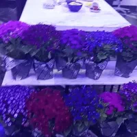 میز سنگی دست ساز