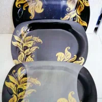 دیس پلو خوری مجلسی