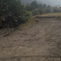 خانه ویلایی روستایی|فروش خانه و ویلا|اطاقور, |دیوار