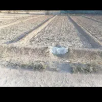 زمین-کشاورزی