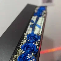باکس پول