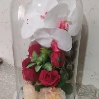گلدان