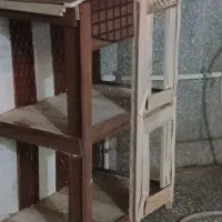 جفتکن کبوتر