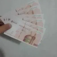 ضامن