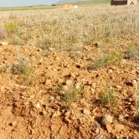 زمین-هزار-متری-کودیان-باغشهر