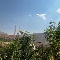 زمین در میگون
