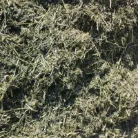 یونجه|حیوانات مزرعه|شیراز, احمدآباد|دیوار