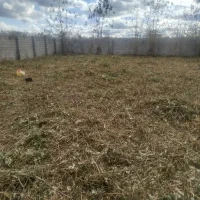 علفزنی.لی زنی.تمشک زنی|خدمات باغبانی و درختکاری|بندر انزلی, امامزاده|دیوار