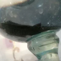 لجن خوار. کت اسپرت