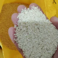 آدرس بومهن خیابان اصلی بهار