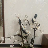 درختچه الستر نیمه مصنوعی