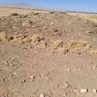 پهن گوسفندی خشک و کهنه