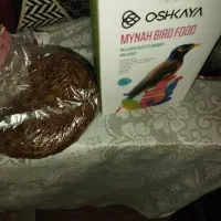 جوجه مینا تاج دار طلایی شهریار|پرنده|شهریار, اسکمان|دیوار