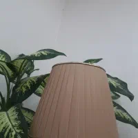 سرایداری و کارپردازی و رانندگی داخل شهر
