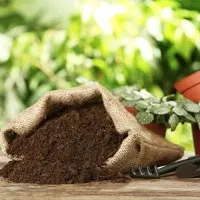 کود گاو داخل گونی