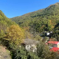 ویلاو سوئیت اجاره ای|اجارهٔ کوتاهمدت آپارتمان و سوئیت|فاضل آباد, |دیوار