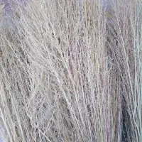 جارو پیشی|لوازم نظافت|زاغه, |دیوار