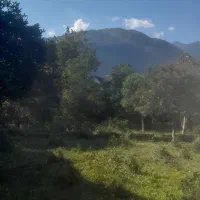 زمین ۱۲۰۰ متری  با کاربری