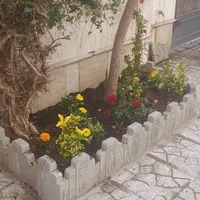 باغبانی و درختکاری (سم پاشی )|خدمات باغبانی و درختکاری|تهران, ونک|دیوار
