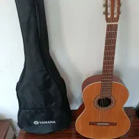 گیتار مارکه روباه