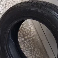 لاستیک گلدستون
