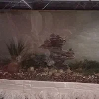 اکواریوم بزرگ (فروش فوری)|ماهی|رشت, استقامت ۱|دیوار