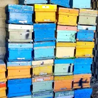 کندو رو به نو