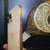 آیفون ۱۶ پرومکس ZAA|موبایل|کرمان, |دیوار