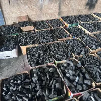 فروش زغال لیمو و مرکبات