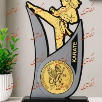 تندیس ورزشی فوتبال والیبال بسکتبال همه رشته ها|مجسمه، تندیس، ماکت|اصفهان, خانه اصفهان|دیوار