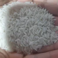 فروش برنج هاشمی و ماهی دودی