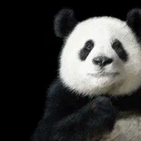 استخدام بازاریاب(قانون کار + بیمه + پورسانت)