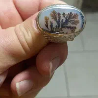 انگشتر شجر رکاب شایق