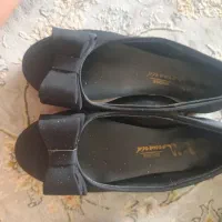 کفش مجلسی|کیف، کفش، کمربند|رشت, کوی مهر|دیوار