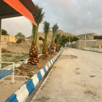 حراج نخل خرما مثمر و غیر مثمر کوچک و بزرگ|حراج|اصفهان, امین‌آباد|دیوار