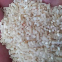 برنج هاشمی درجه یک باپخت عالی درجه یک|خوردنی و آشامیدنی|رشت, لاکان|دیوار