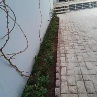 خدمات باغبانی در سراسر تهران|خدمات باغبانی و درختکاری|تهران, سنائی|دیوار